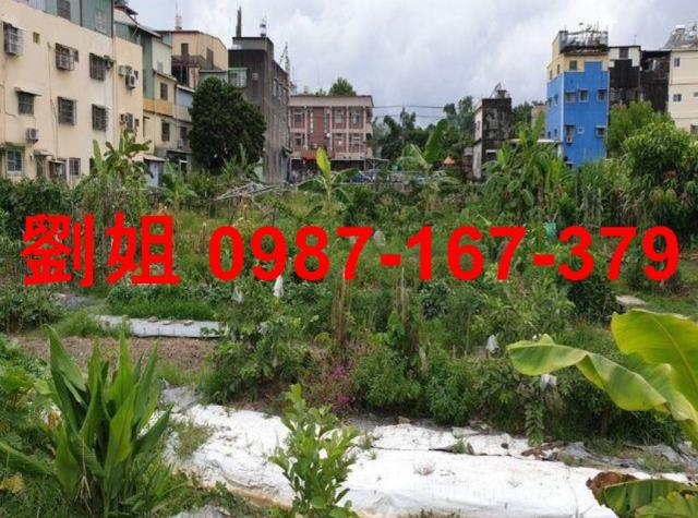 高雄大寮農地-0