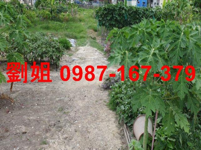 高雄大寮農地-3