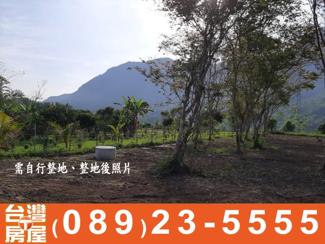 台東房地產買賣