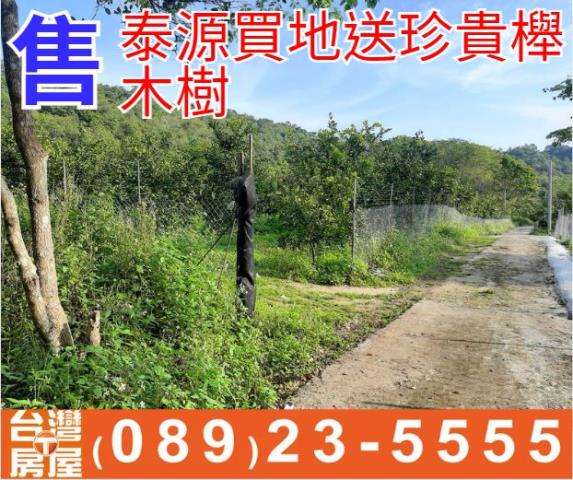 台東農地台東房地產台東土地買賣台東房仲台東仲介海岸線農地