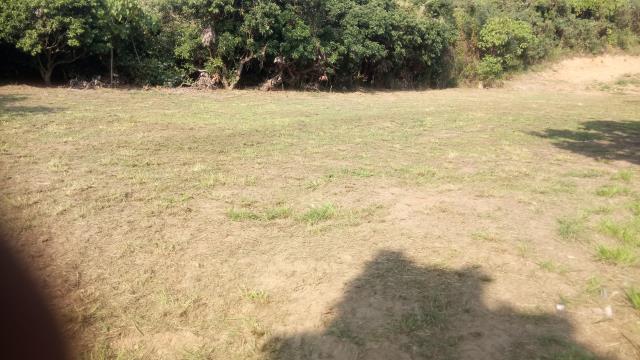 彰化彰化市農地-2