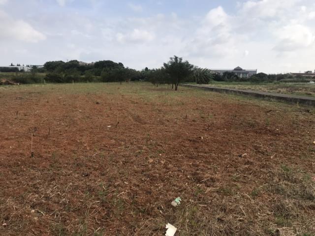 八德區交流道旁農地