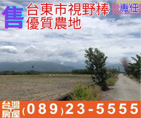 台東農地台東房地產台東土地買賣台東房仲台東仲介海岸線農地