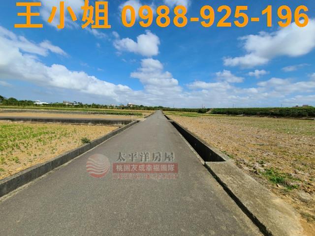 觀音雙面臨路漂亮農地