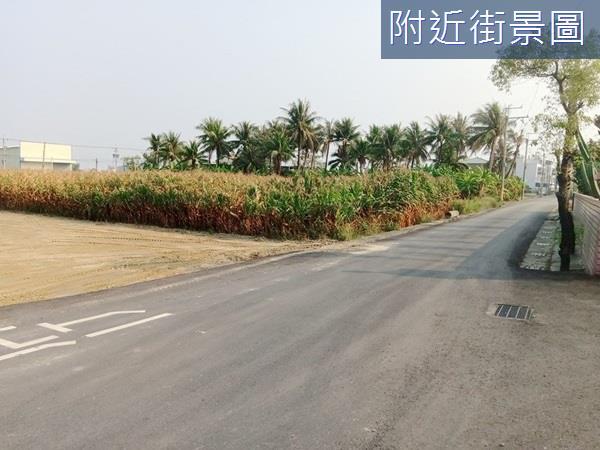 台南安定農地-9