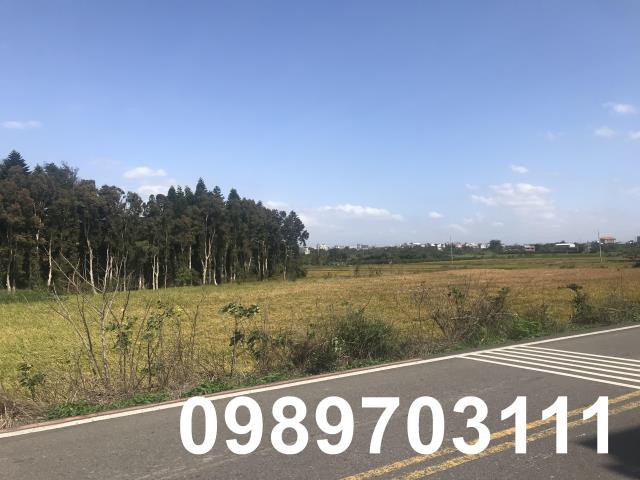 桃園新屋農地-1