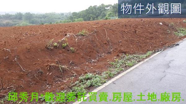 淡水農地-6