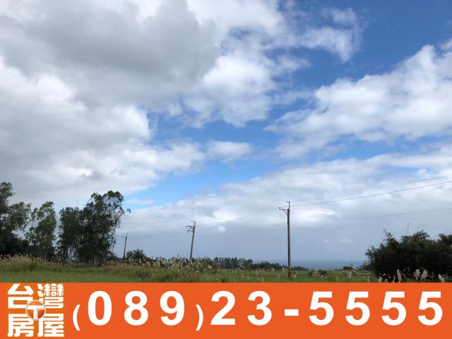 鑽石台東房屋買賣