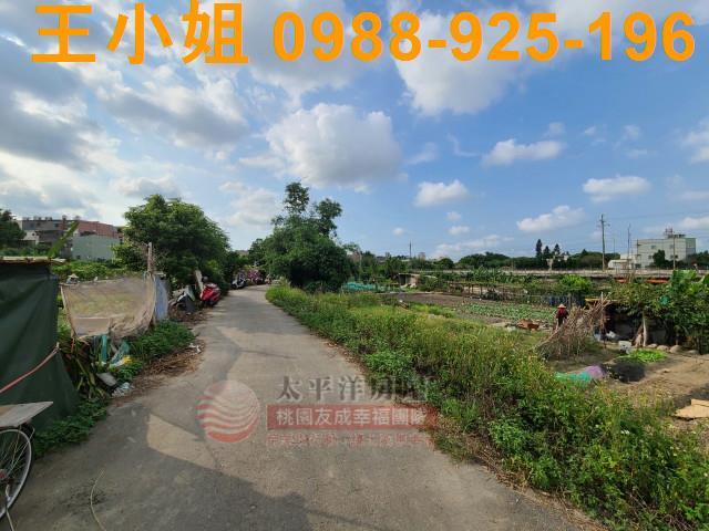 桃園平鎮農地-1