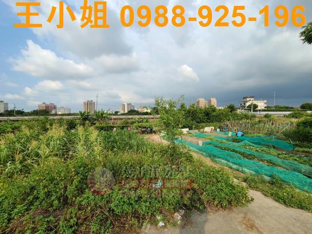 桃園平鎮農地-2