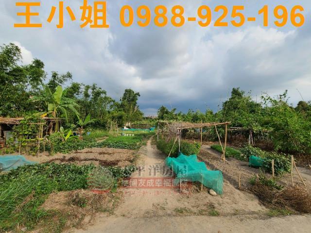 桃園平鎮農地-4