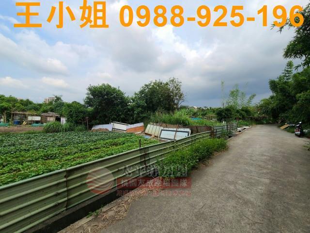 桃園平鎮農地-5