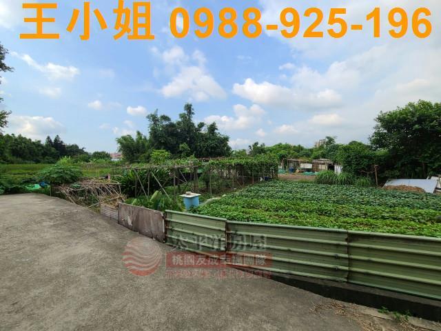 桃園平鎮農地-6