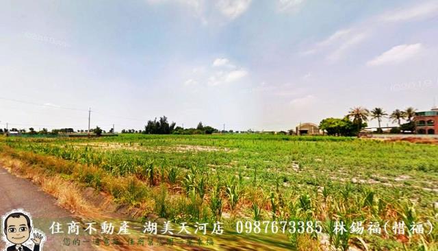 鹽水農地-3