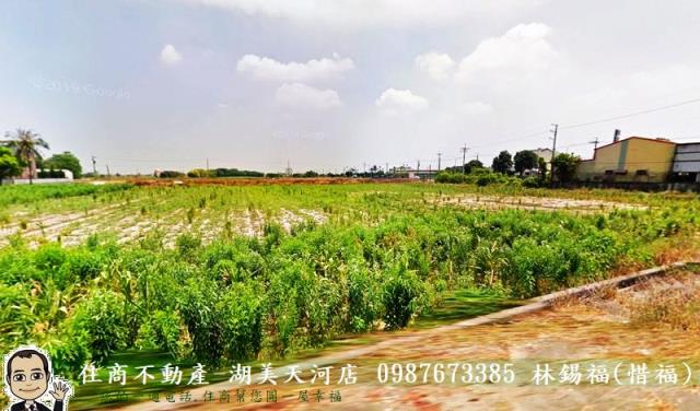 鹽水農地-6