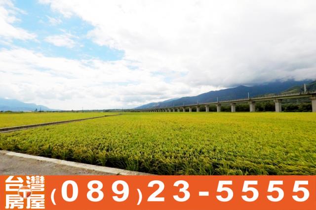 關山農地-9