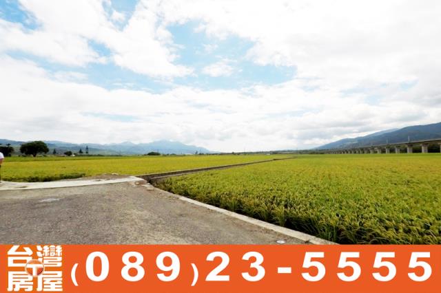 關山農地-12