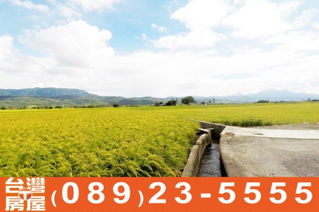 關山農地-5