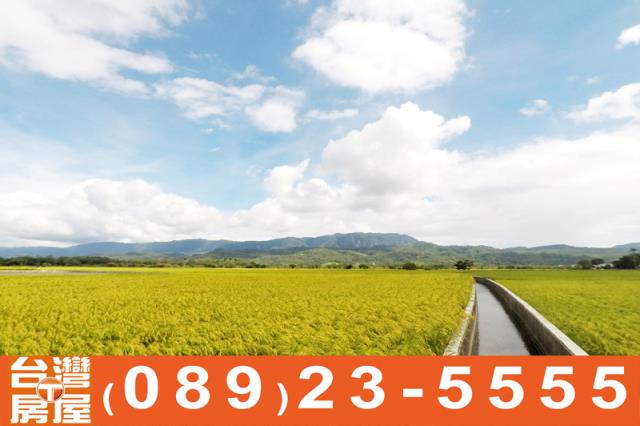 關山農地-8