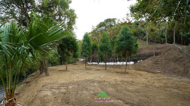 新竹北埔農地-1