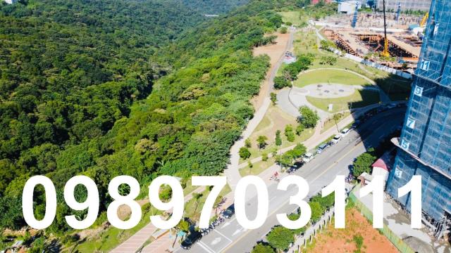 桃園龜山農地-1