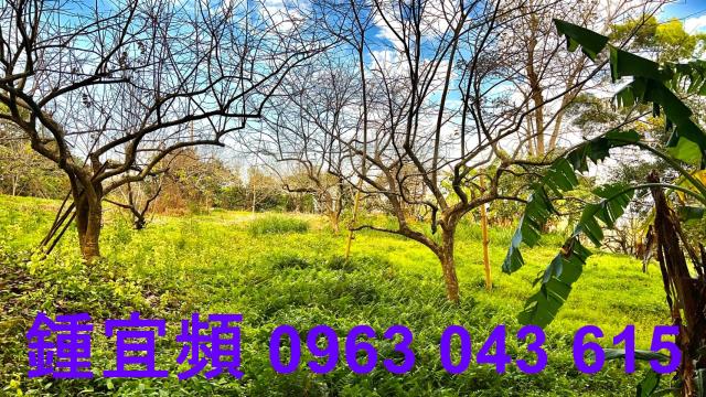 新竹北埔農地-9