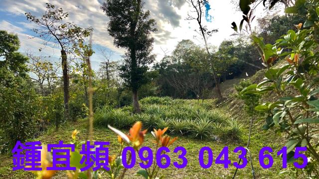 農地山坡地休閒地景觀地小坪數農地露營地農舍資材