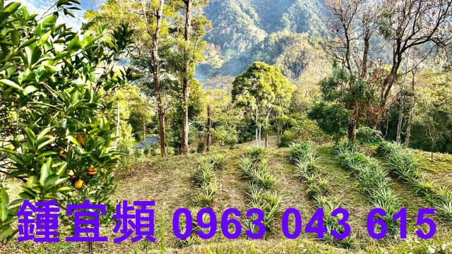 新竹北埔農地-3