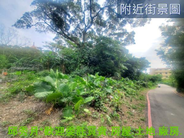淡水農地-6
