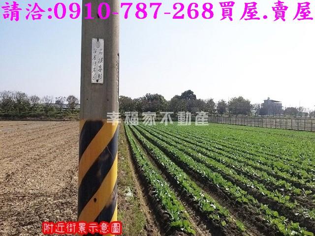 台南農地-2