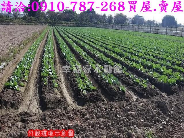 台南農地-3