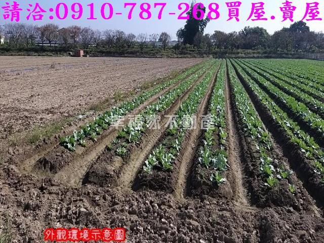 台南農地-4