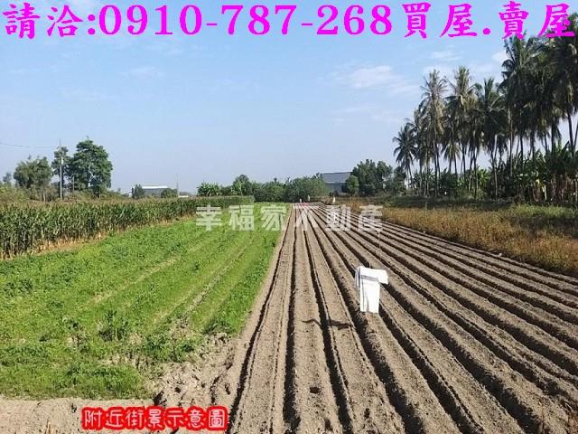 台南安定農地-3