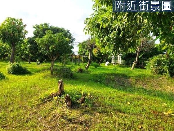 台南安南農地-4