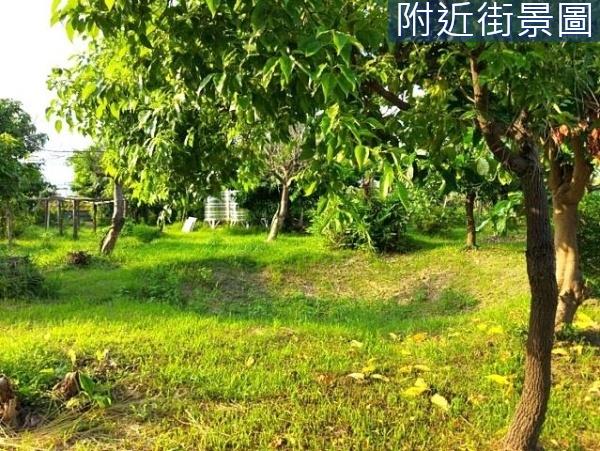 台南安南農地-5