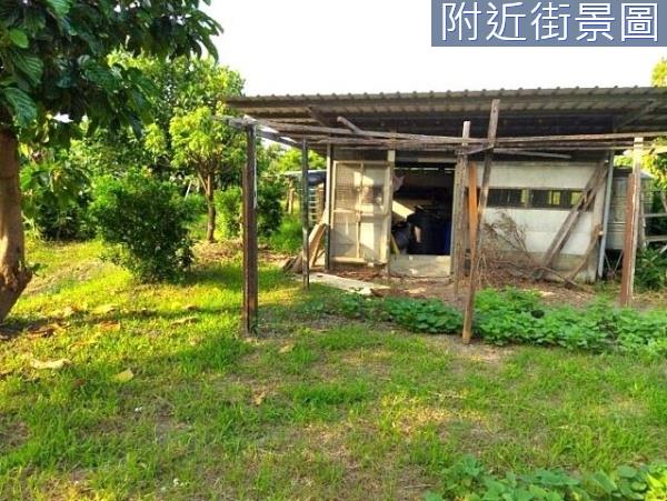 台南安南農地-8