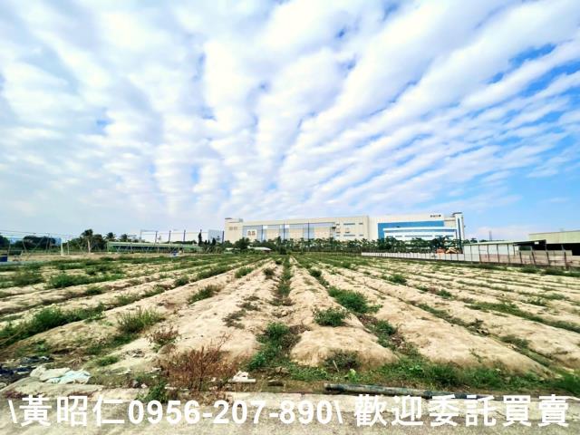 台南官田農地-1