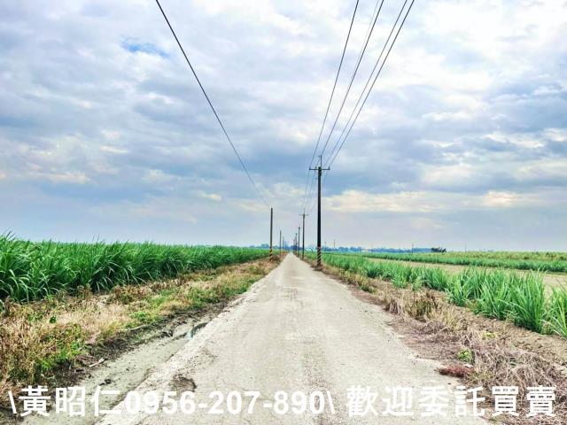 台南官田農地-3