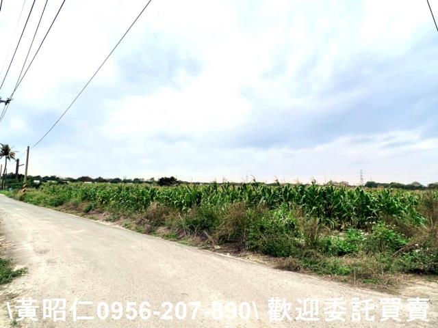 台南官田農地-4