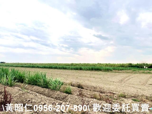 台南官田農地-5