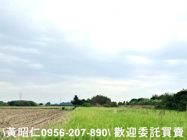 台南官田農地-6