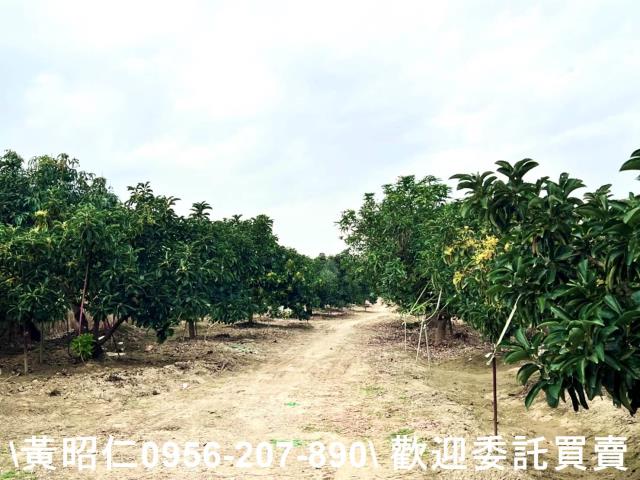 台南官田農地-7