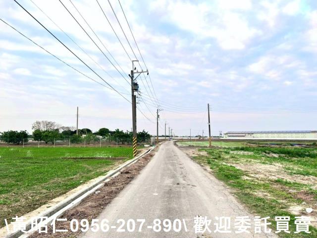 台南善化農地-0