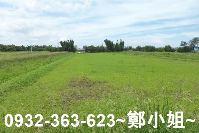 桃園觀音農地-1