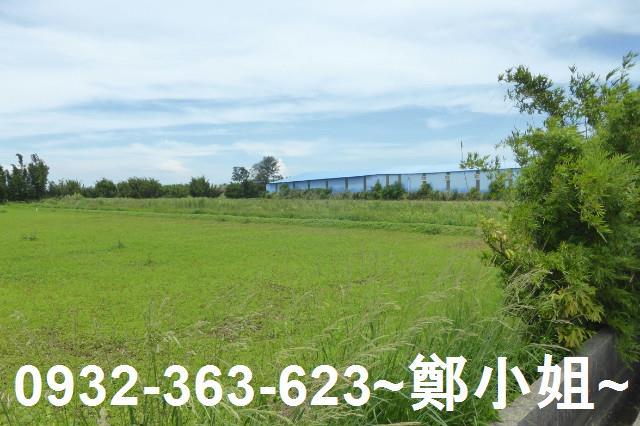 桃園觀音農地-2