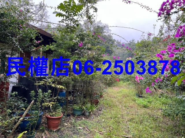 新化農地-6