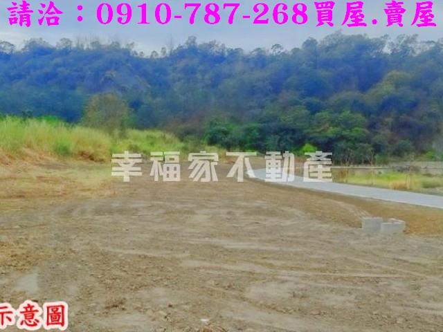 台南農地-7