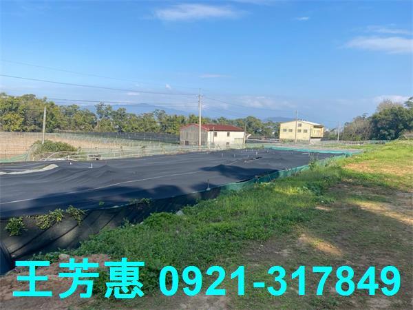 台中外埔農地-8
