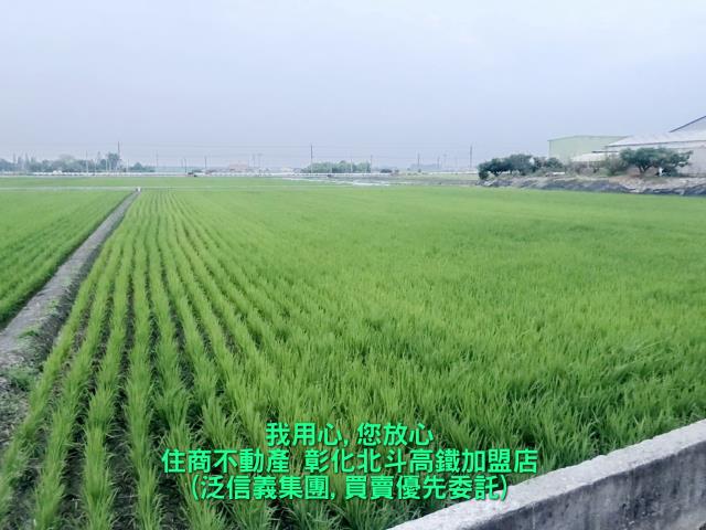 彰化溪州農地-1