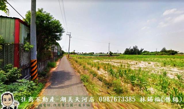 鹽水農地-7